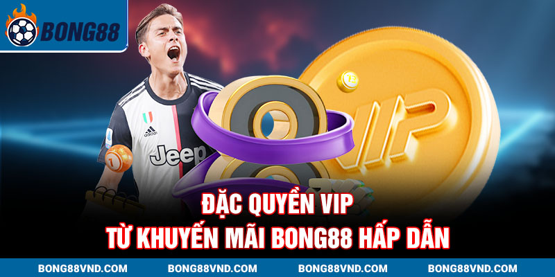 Đặc quyền VIP từ Khuyến mãi Bong88 hấp dẫn