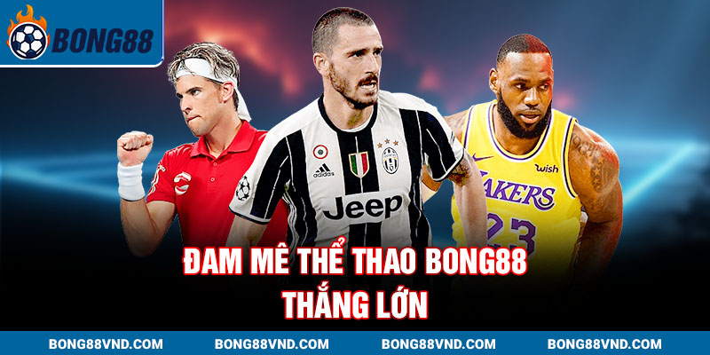 Đam mê Thể thao Bong88 – thắng lớn