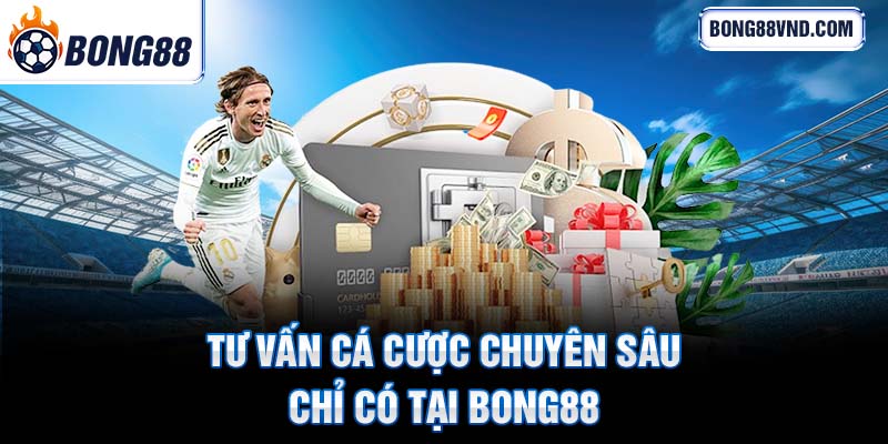 Tư vấn đặt cược chuyên sâu chỉ có tại Bong88